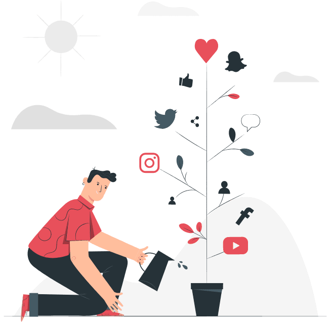 custom software development